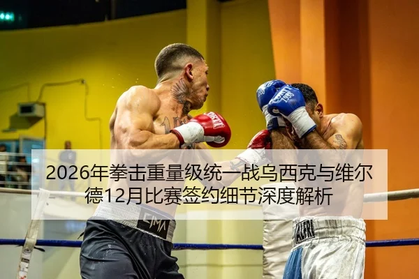2026年拳击重量级统一战乌西克与维尔德12月比赛签约细节深度解析