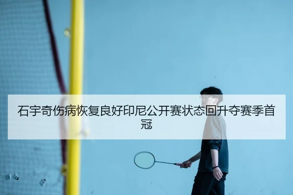 shi-yu-qi-shang-bing-hui-fu-liang-hao-yin-ni-gong-kai-sai-zhuang-tai-hui-sheng-duo-sai-ji-shou-guan-2-954.jpg