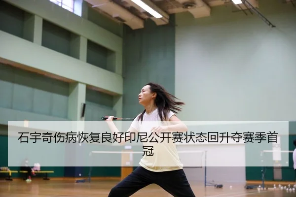 shi-yu-qi-shang-bing-hui-fu-liang-hao-yin-ni-gong-kai-sai-zhuang-tai-hui-sheng-duo-sai-ji-shou-guan-3-414.jpg