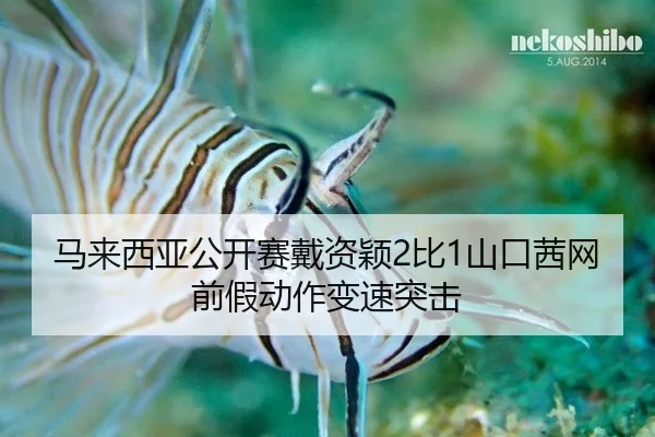ma-lai-xi-ya-gong-kai-sai-dai-zi-ying-bi-shan-kou-qian-wang-qian-jia-dong-zuo-bian-su-tu-ji-2-609.jpg