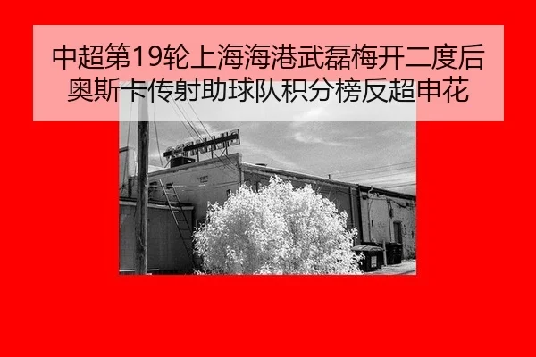 zhong-chao-di-lun-shang-hai-hai-gang-wu-lei-mei-kai-er-du-hou-ao-si-ka-chuan-she-zhu-qiu-dui-ji-fen-bang-fan-chao-shen-2-365.jpg