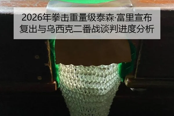2026年拳击重量级泰森·富里宣布复出与乌西克二番战谈判进度分析